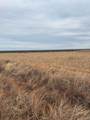  3101 FM 1440 - Photo 5