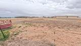 8901 Red Wing Road - Photo 45