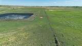  Dodd Grass 480Ac County Line Road - Photo 15