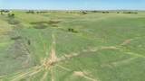  Dodd Grass 480Ac County Line Road - Photo 17