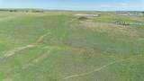  Dodd Grass 480Ac County Line Road - Photo 18