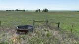  Dodd Grass 480Ac County Line Road - Photo 30