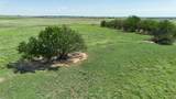  Dodd Grass 480Ac County Line Road - Photo 31