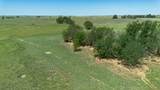  Dodd Grass 480Ac County Line Road - Photo 32