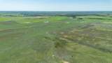  Dodd Grass 480Ac County Line Road - Photo 37