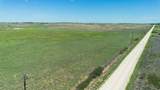  Dodd Grass 480Ac County Line Road - Photo 5