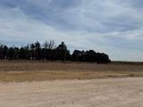 8801 Fm 1573 - Photo 3