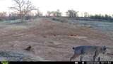 4431 County Road 18 - Photo 38