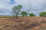 4431 County Road 18 - Photo 41