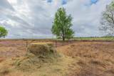 4431 County Road 18 - Photo 43