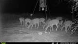 4431 County Road 18 - Photo 53