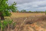 4431 County Road 18 - Photo 61