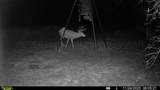 4431 County Road 18 - Photo 85