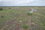  237.5 Acres Cottle County - Photo 1