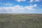  237.5 Acres Cottle County - Photo 10