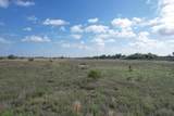  237.5 Acres Cottle County - Photo 11