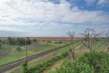  237.5 Acres Cottle County - Photo 13