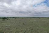  237.5 Acres Cottle County - Photo 15