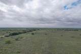  237.5 Acres Cottle County - Photo 17