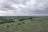  237.5 Acres Cottle County - Photo 18