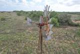  237.5 Acres Cottle County - Photo 21