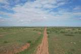  237.5 Acres Cottle County - Photo 23