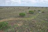  237.5 Acres Cottle County - Photo 24