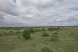  237.5 Acres Cottle County - Photo 26