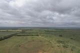  237.5 Acres Cottle County - Photo 28