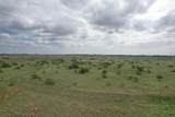  237.5 Acres Cottle County - Photo 30