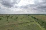  237.5 Acres Cottle County - Photo 31