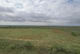 237.5 Acres Cottle County - Photo 32