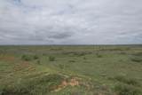 237.5 Acres Cottle County - Photo 33