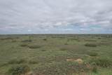  237.5 Acres Cottle County - Photo 35