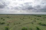  237.5 Acres Cottle County - Photo 36