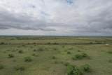  237.5 Acres Cottle County - Photo 37
