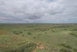  237.5 Acres Cottle County - Photo 38