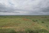  237.5 Acres Cottle County - Photo 39