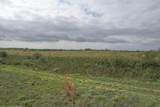  237.5 Acres Cottle County - Photo 41