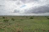  237.5 Acres Cottle County - Photo 44