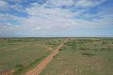  237.5 Acres Cottle County - Photo 45