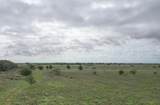  237.5 Acres Cottle County - Photo 46