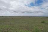  237.5 Acres Cottle County - Photo 47