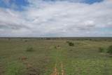 237.5 Acres Cottle County - Photo 48