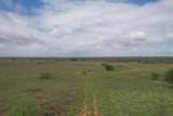  237.5 Acres Cottle County - Photo 49