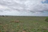  237.5 Acres Cottle County - Photo 50