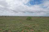  237.5 Acres Cottle County - Photo 51