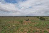  237.5 Acres Cottle County - Photo 52