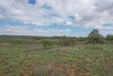 237.5 Acres Cottle County - Photo 53