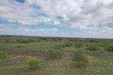  237.5 Acres Cottle County - Photo 54